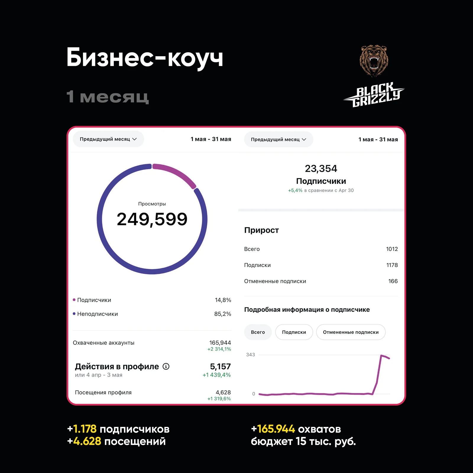 Кейс: Бизнес-коуч — статистика за месяц