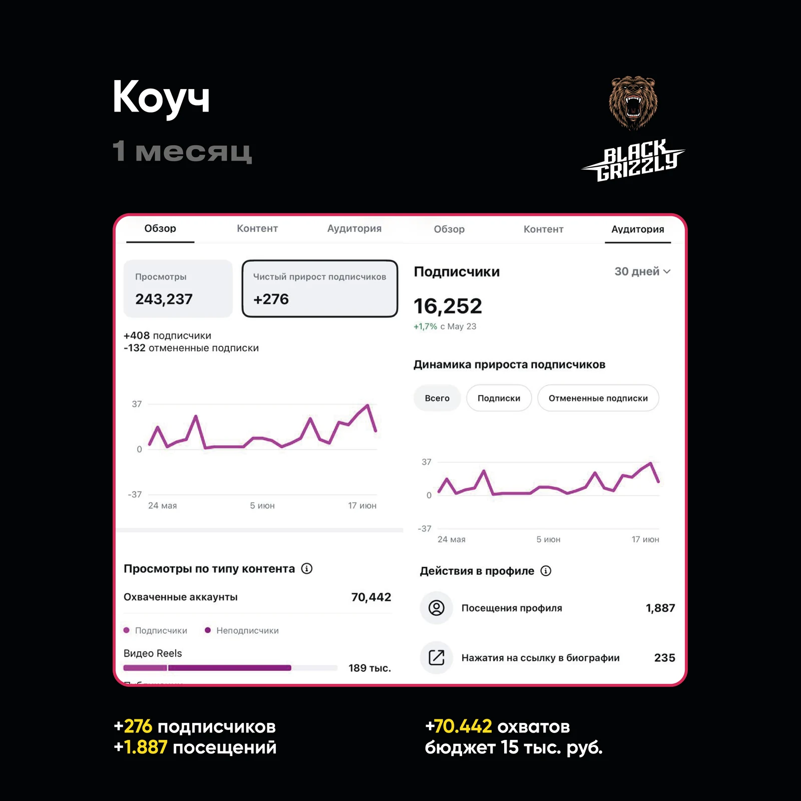 Кейс: Коуч — статистика за месяц